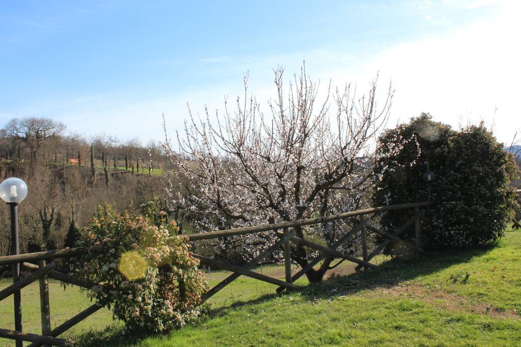 Fattoria Di Rigone Villa Coltavolino Exterior photo