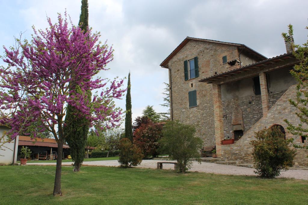 Fattoria Di Rigone Villa Coltavolino Exterior photo